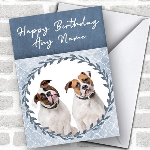 American bulldog dog blue - bulldog,