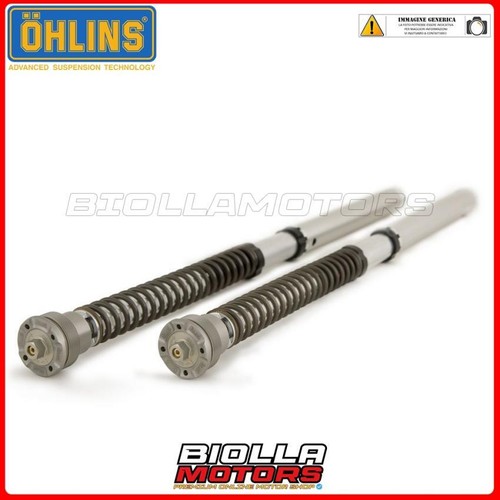 Fgk 217 fork cartridge ohlins - fgk,