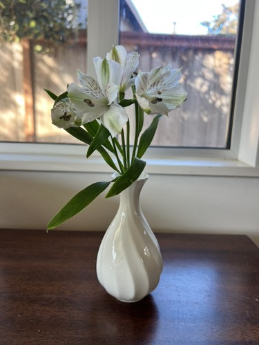 Wedgwood candlelight bone - candlelight,