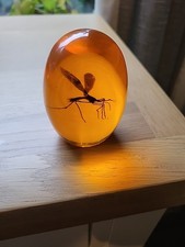 Jurassic Park Prop Mosquito In Amber