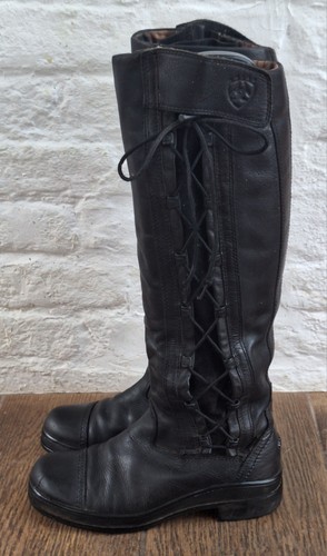 Fabulous black ariat glacier - ,