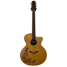 Turner 35CE Jumbo Electro