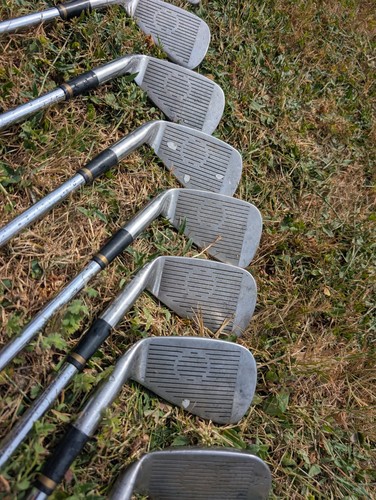King cobra oversize bronze - king,