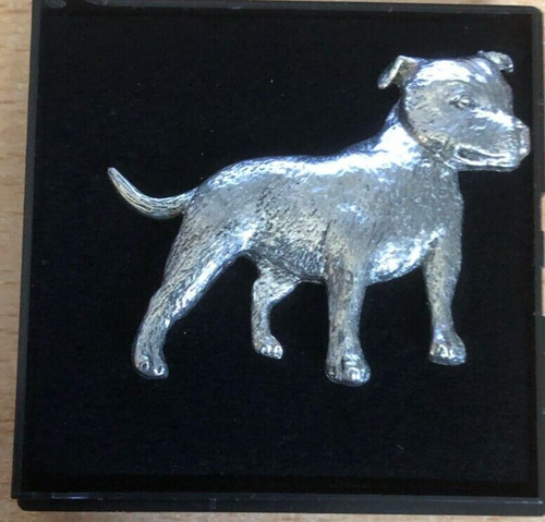 Staffy staffordshire bull - staffordshire,