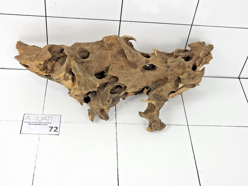 Aquarium natural dragon - natural, wood