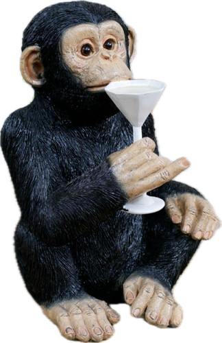 Cocktail drinking monkey chimp - drinking,