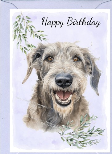 Irish wolfhound dog birthday - wolfhound,
