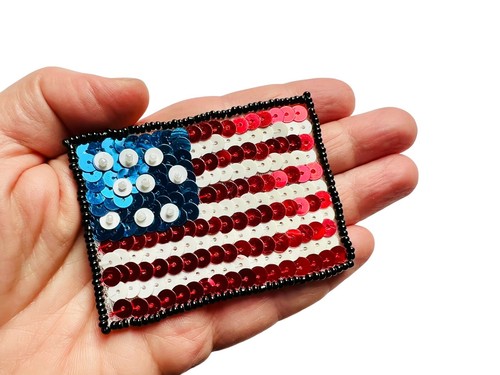 Sequin embroidered beaded - sequin,