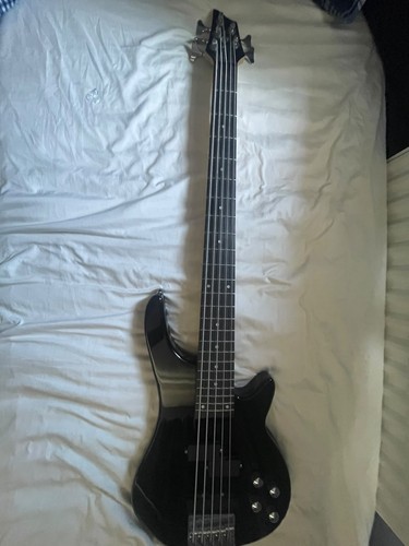 Chicago string bass guitar - string,