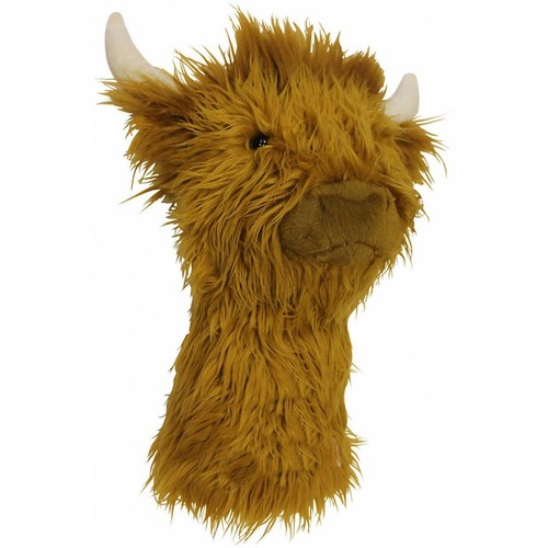 Daphne highland cow hybrid - highland,