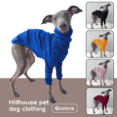 High neck pet dog - pet,