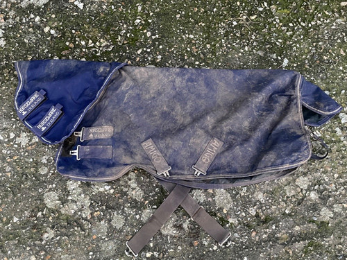 Blue amigo fill lightweight - no,