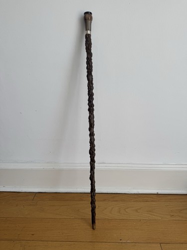 Great horn handle - handle, walking