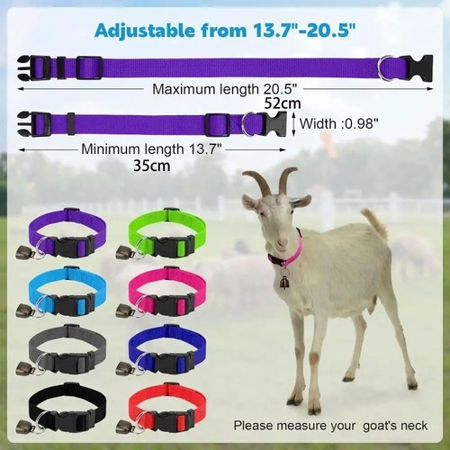 Goat collars with - with, bells