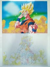 Dragon Ball Z Animation Cel Son Goku Art Sheet Akira Toriyama Anime  Japan Q49