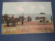 Advertising Postcard - Skegness (shows donkey's & pier) Posted 1907 Shurey's