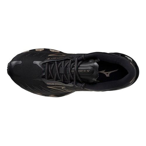 Mizuno wave prophecy - wave, 12