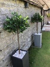 Pair of 120cm (4ft) Plain Stem