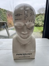 Phrenology Head L.N. Fowler