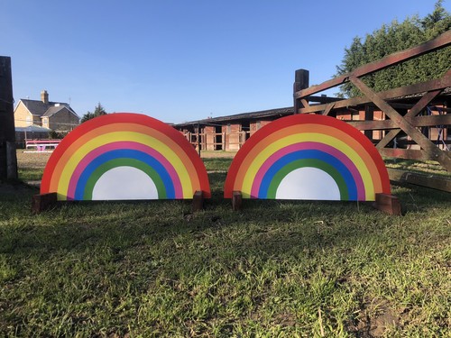 Horse pony pair of rainbow - &,