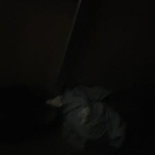 12V Electric Mobility Scooter