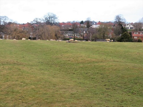 Photo ridge and furrow - photo,