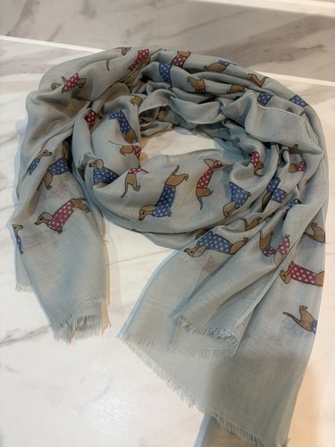 Ladies sausage dog dachshund - dog,