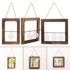 Wall hanging propagation - hanging,