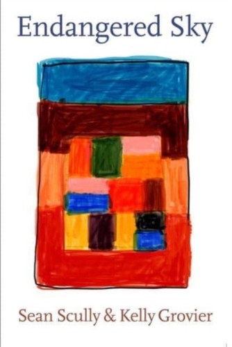 Endangered sky sean scully - sky:, &