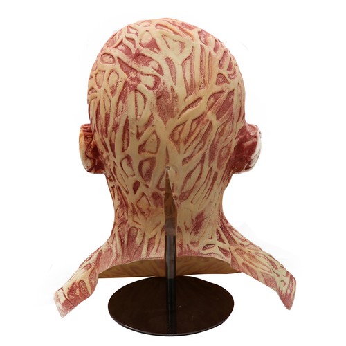 Freddy krueger - (as, shown)