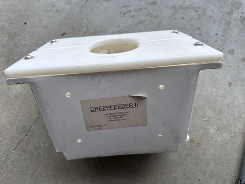 Horse tack creep - horse,