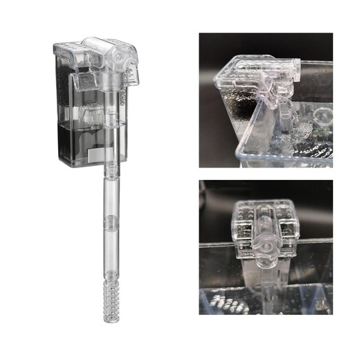 Fish tank external - fish,