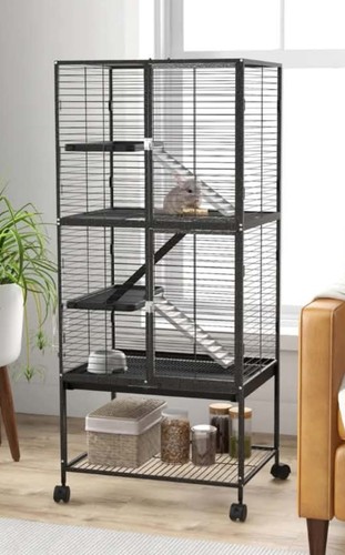 Paw hut snall rodent - snall,
