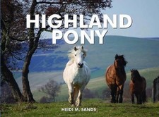 Spirit of the Highland Pony by