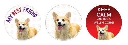 Welsh corgi dog - x,