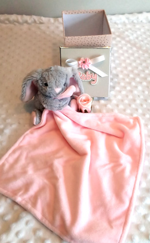 Baby gift box rabbit comfort - baby,