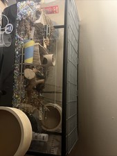 Savic plaza 100 hamster cage perspex panels