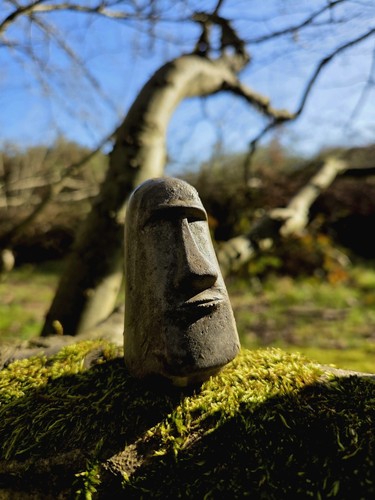 Easter island head garden - island,