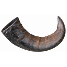 TRIXIE LARGE BUFFALO HORN