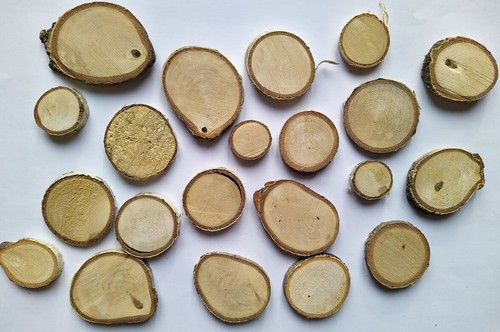 3cm wood birch tree slices - 1-3cm,