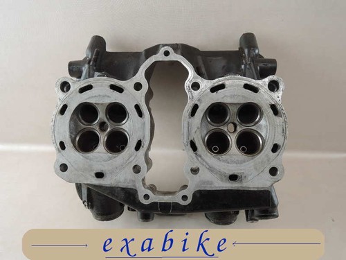 Rear cylinder head - cylinder,