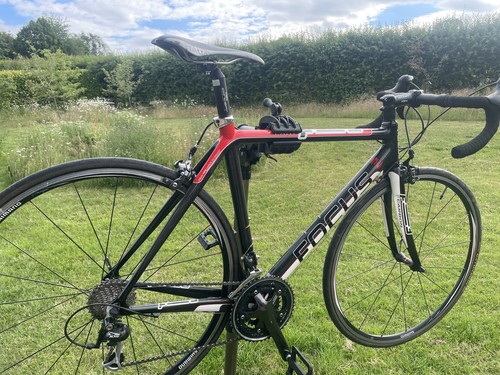 Focus cayo carbon - focus,