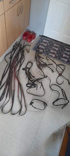 Equestrian joblot uk post - equestrian,