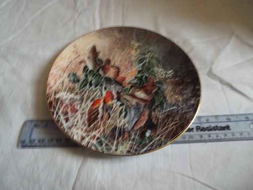 Coalport frosty mornings - mornings, wren