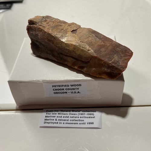 Petrified wood crook county - :,
