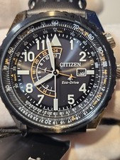 Citizen Eco-Drive Promaster