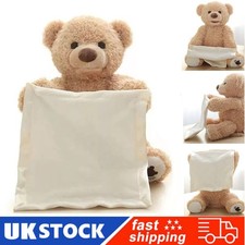 Peek-A-Boo Teddy Bear Plush