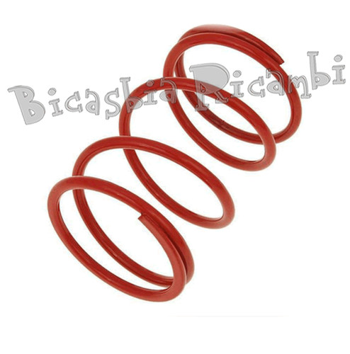 5008 red malossi variator - 5008,