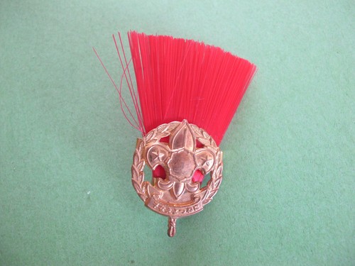 Boy scouts red - scouts,