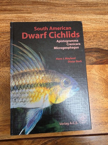 South american dwarf cichlids - dwarf,